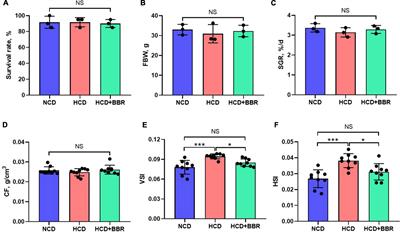 Dietary berberine alleviates high carbohydrate diet-induced intestinal damages and improves lipid metabolism in largemouth bass (Micropterus salmoides)